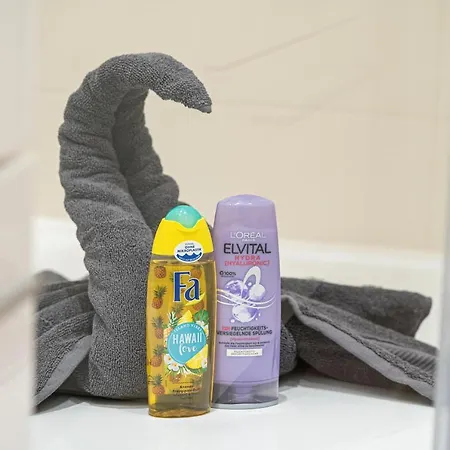 Fullhouse - - L96 - Smarttv - Nespresso - 2 Queensize Beds Zwickau